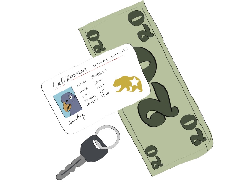 A California driver's license, a car key, and a twenty dollar bill.